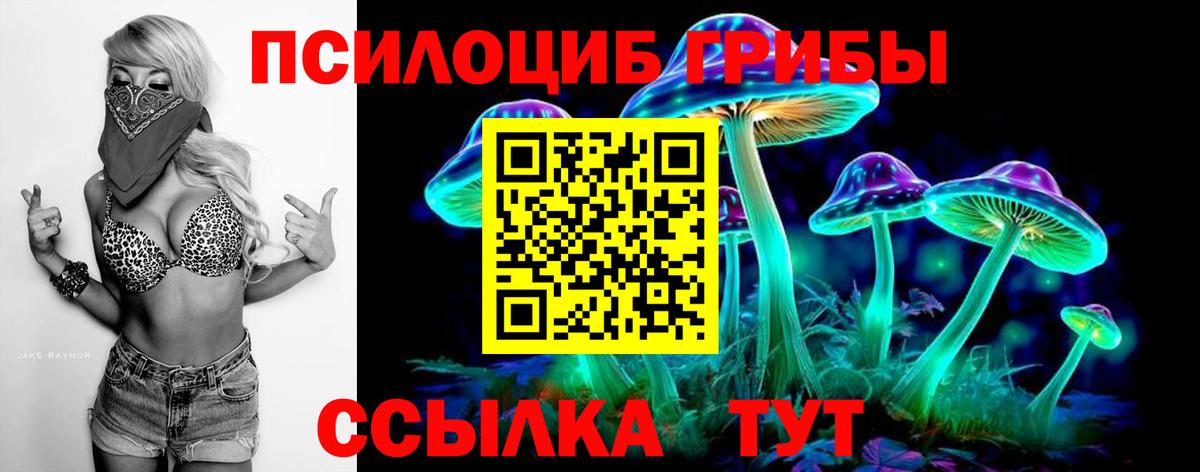 Татарск  Псилоцибиновые грибы Psilocybe  Вход с VPN 